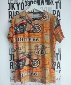 camisetaruta66lb22